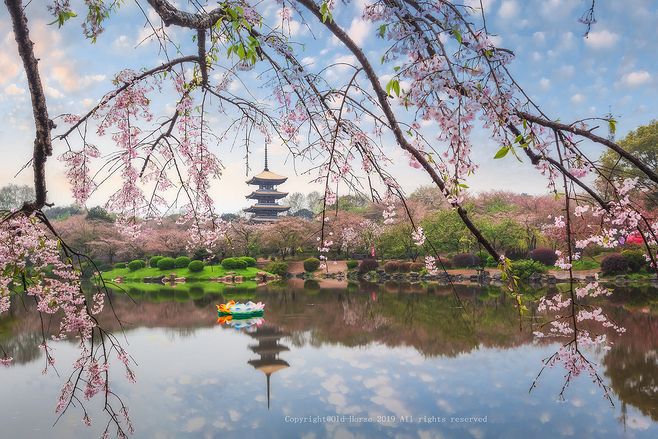 春天.jpg 春天.jpg